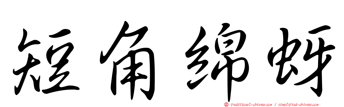短角綿蚜