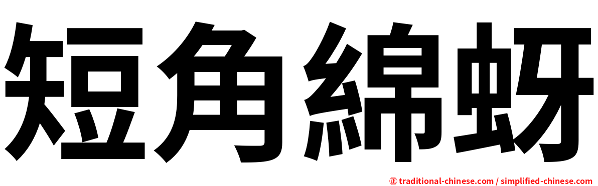 短角綿蚜