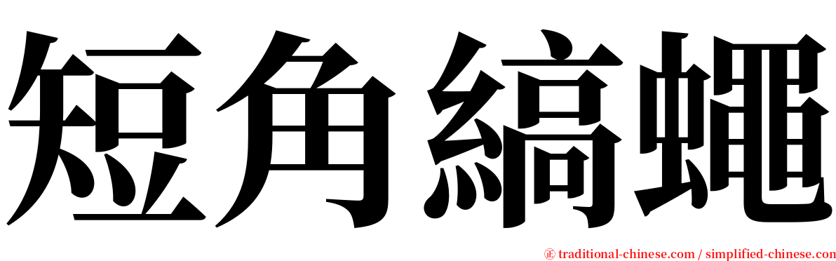 短角縞蠅 serif font