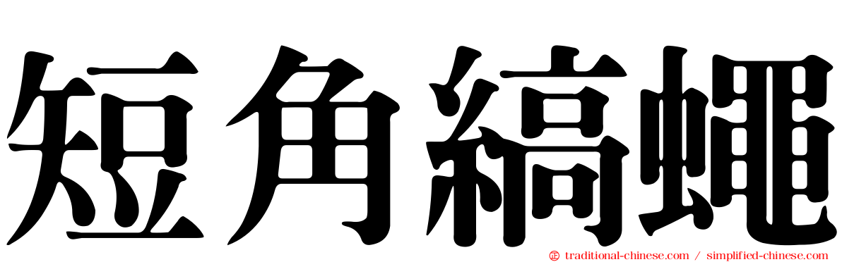 短角縞蠅