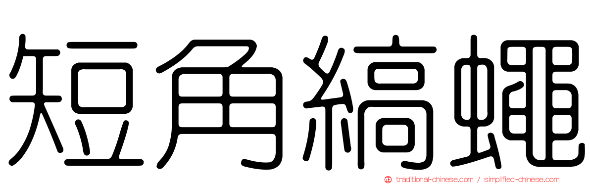 短角縞蠅