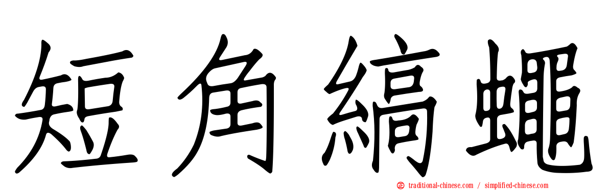 短角縞蠅