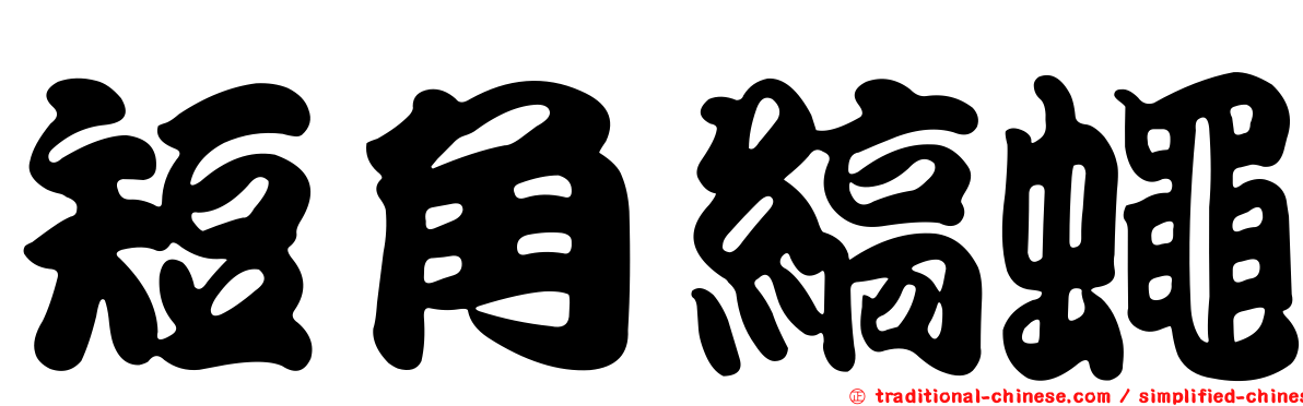 短角縞蠅