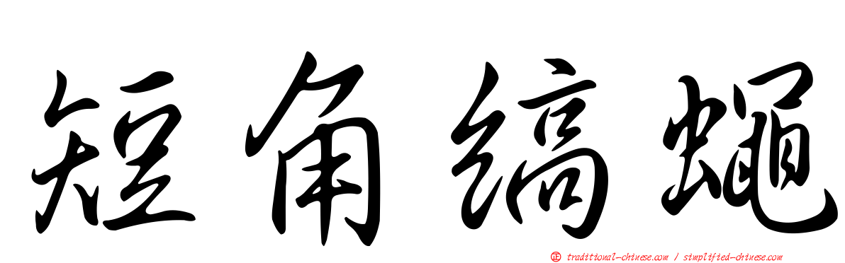 短角縞蠅