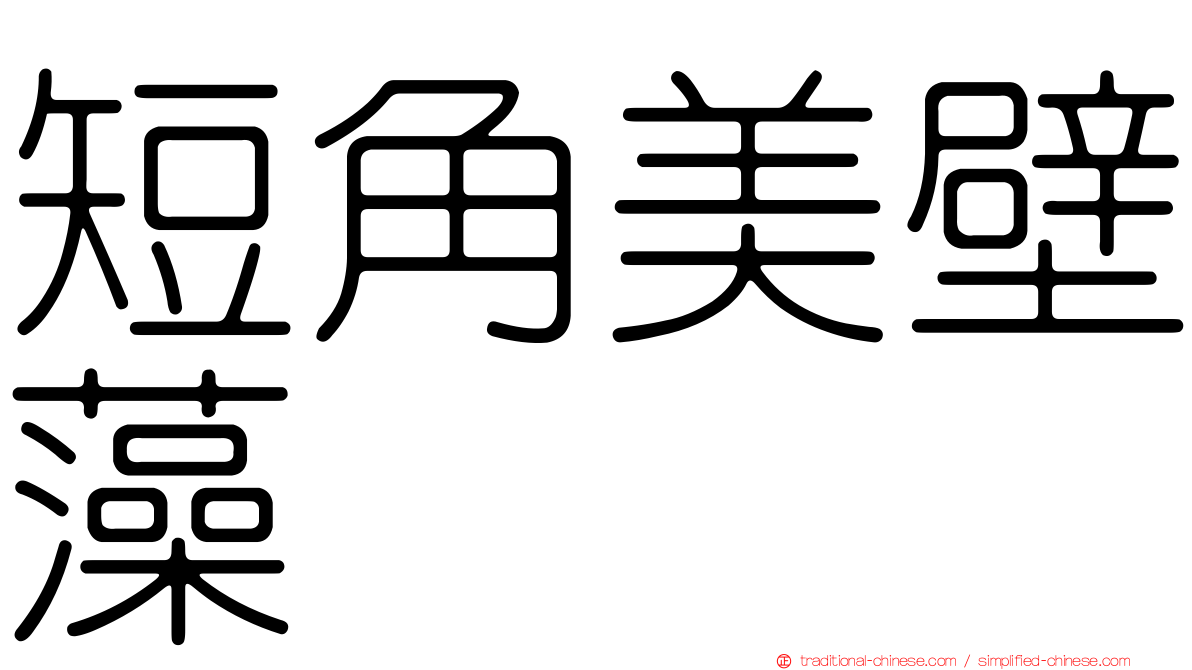 短角美壁藻