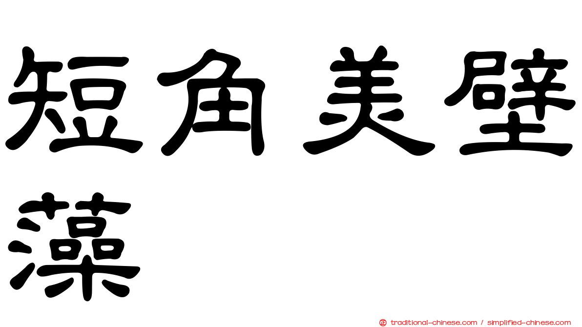 短角美壁藻