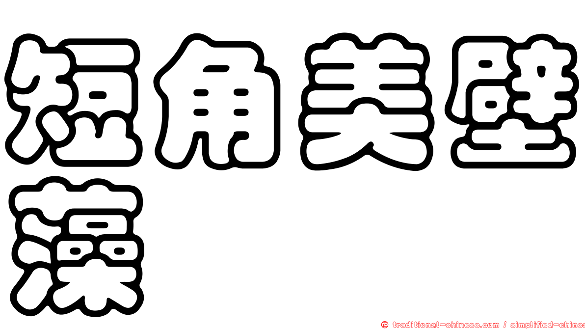 短角美壁藻