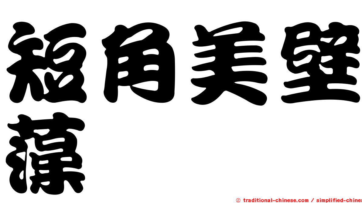 短角美壁藻