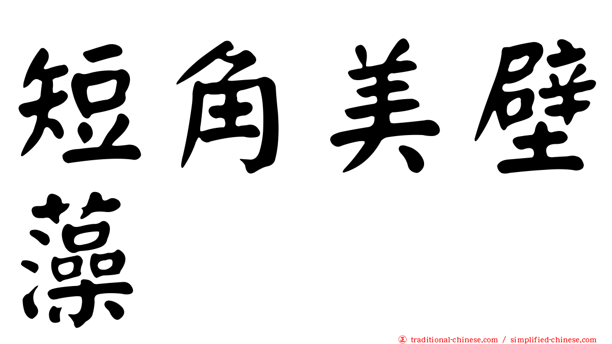 短角美壁藻