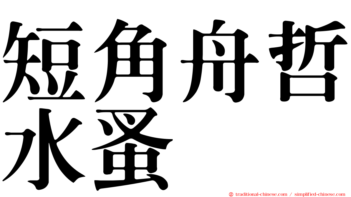短角舟哲水蚤
