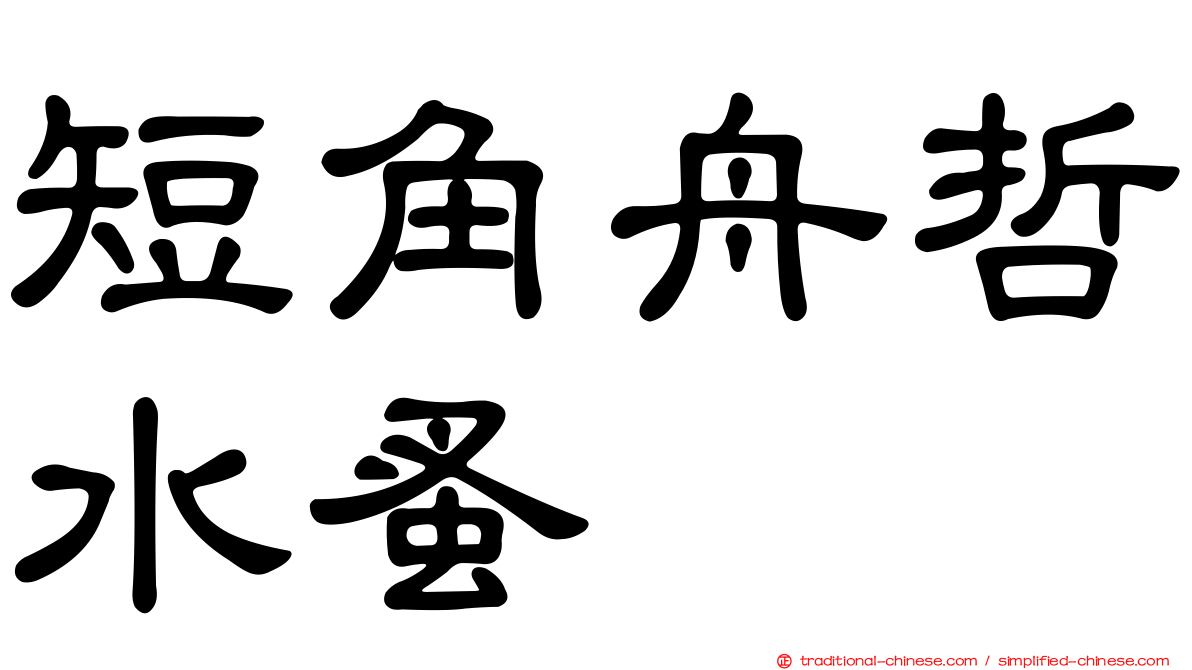 短角舟哲水蚤