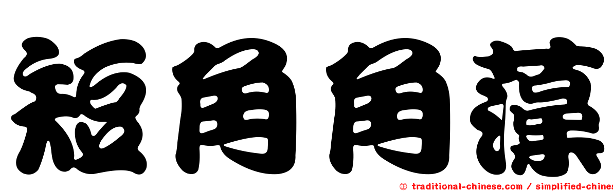 短角角藻