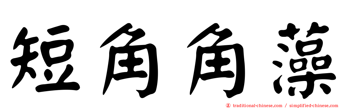 短角角藻