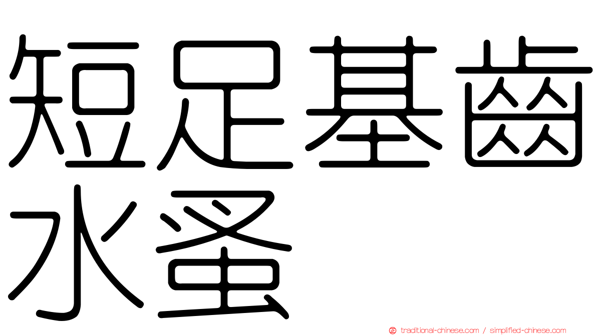 短足基齒水蚤