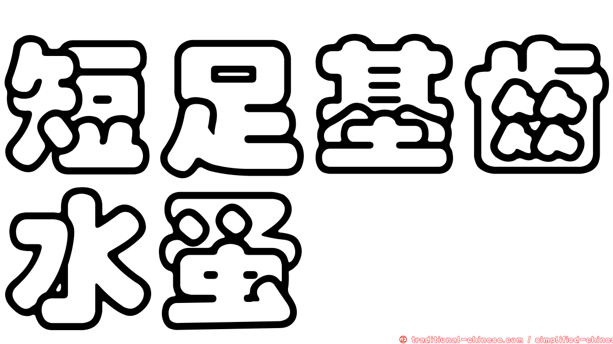 短足基齒水蚤