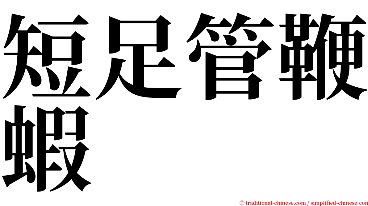 短足管鞭蝦 serif font