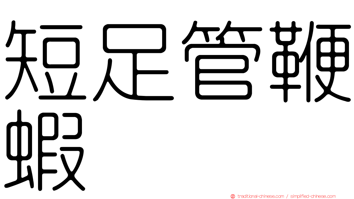 短足管鞭蝦