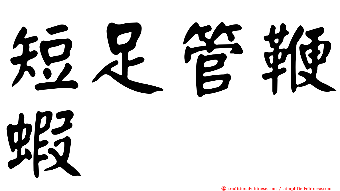短足管鞭蝦