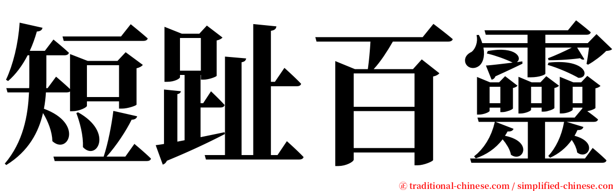 短趾百靈 serif font