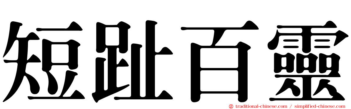 短趾百靈