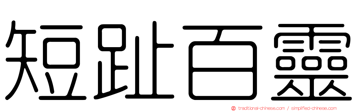 短趾百靈