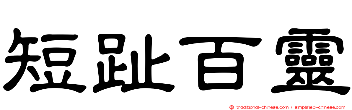 短趾百靈