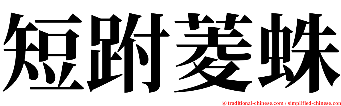 短跗菱蛛 serif font