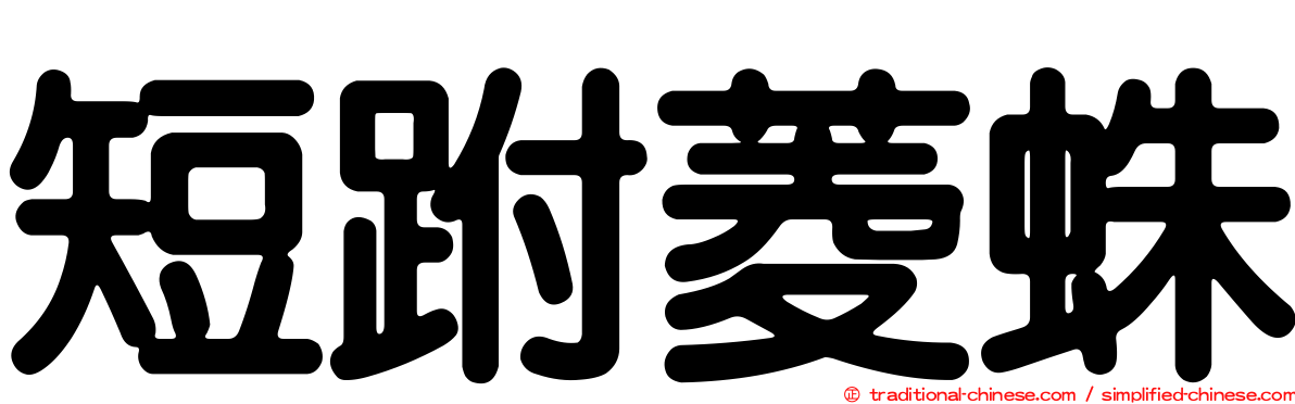 短跗菱蛛