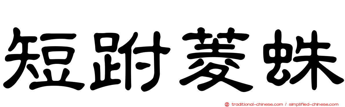 短跗菱蛛