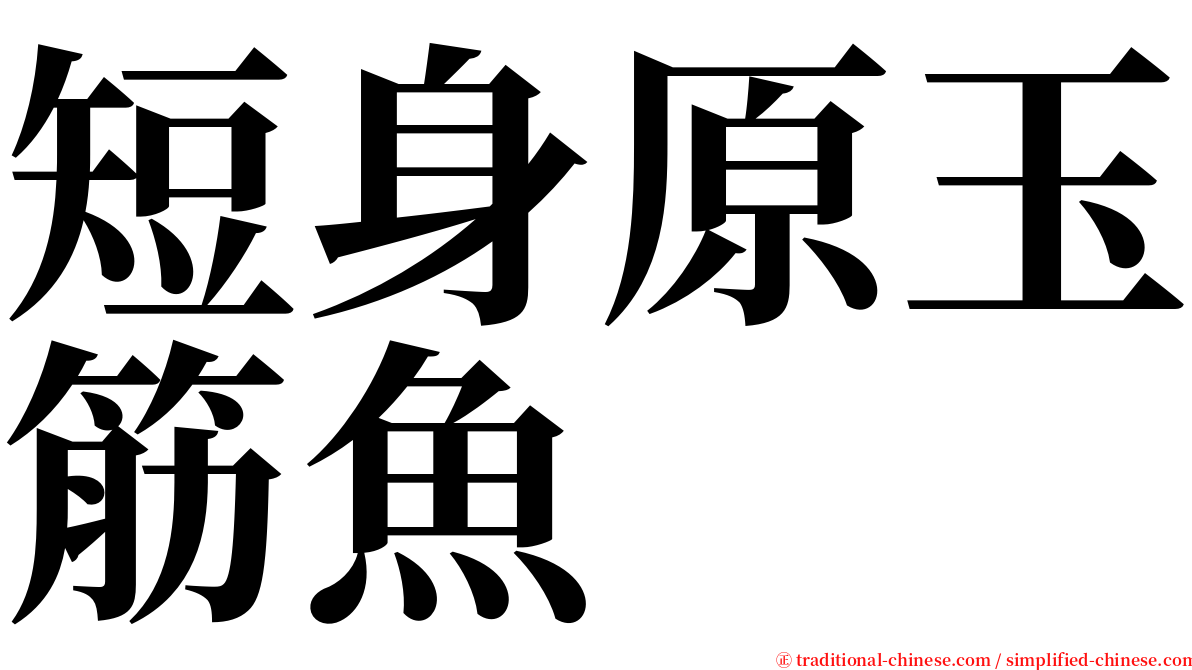 短身原玉筋魚 serif font