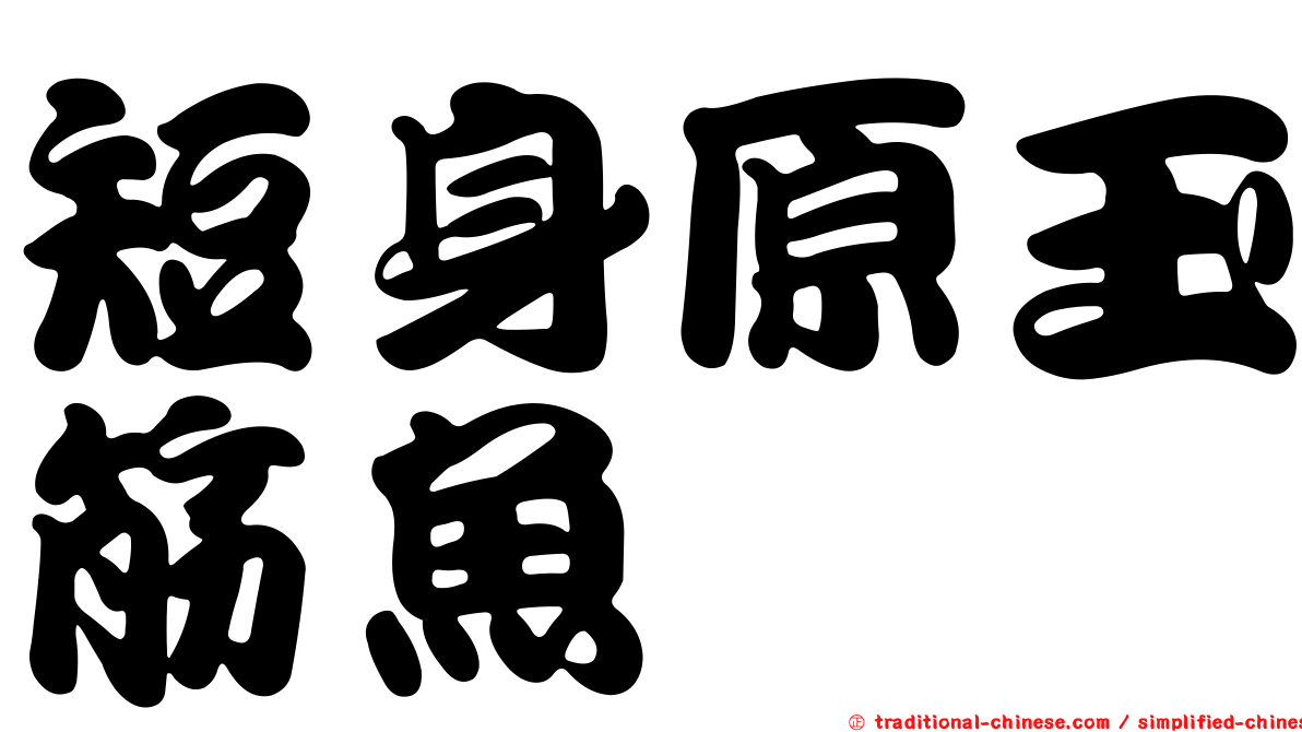 短身原玉筋魚