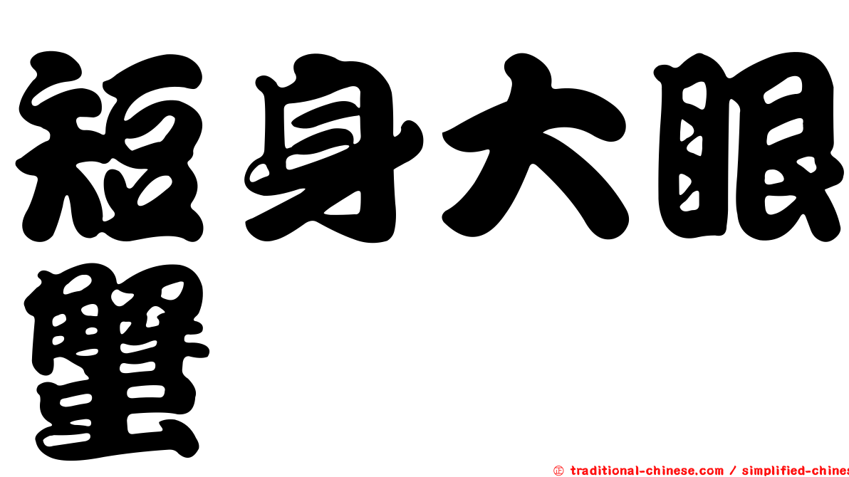 短身大眼蟹