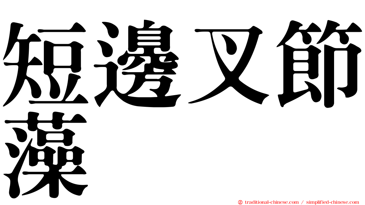 短邊叉節藻