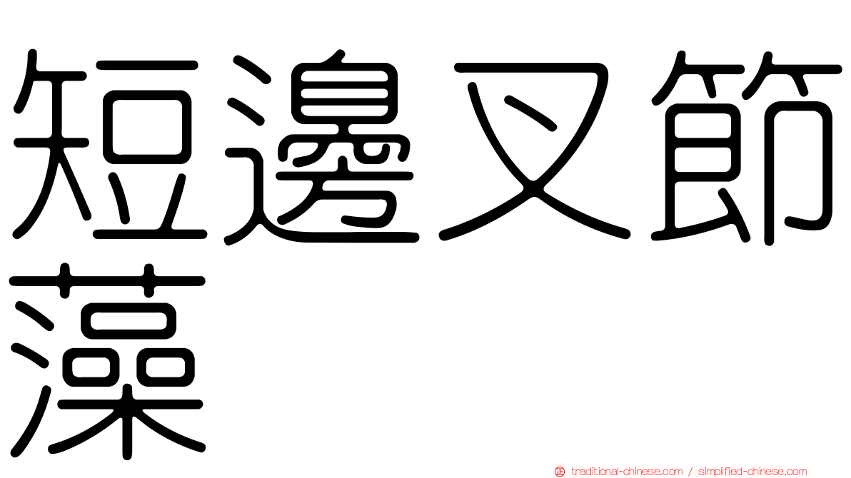 短邊叉節藻