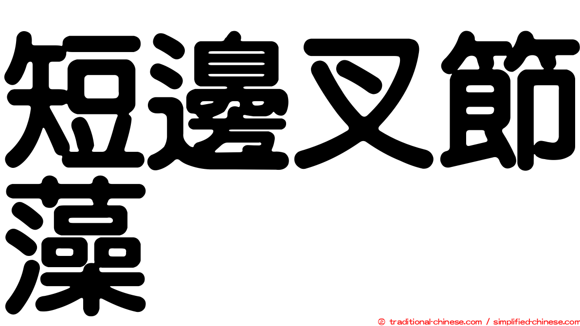 短邊叉節藻