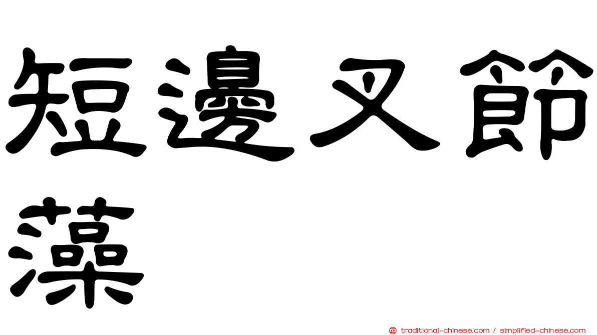 短邊叉節藻