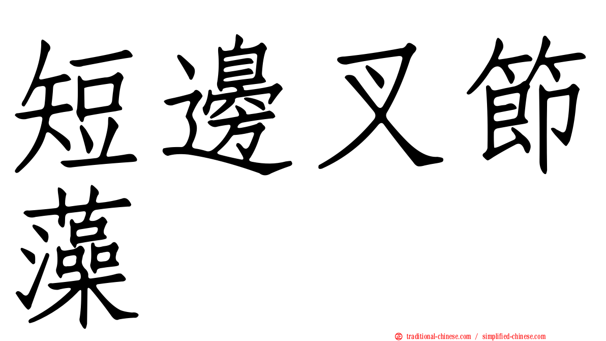 短邊叉節藻