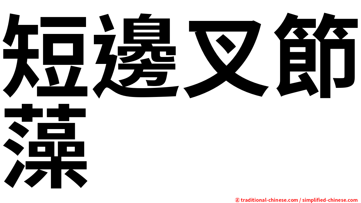短邊叉節藻