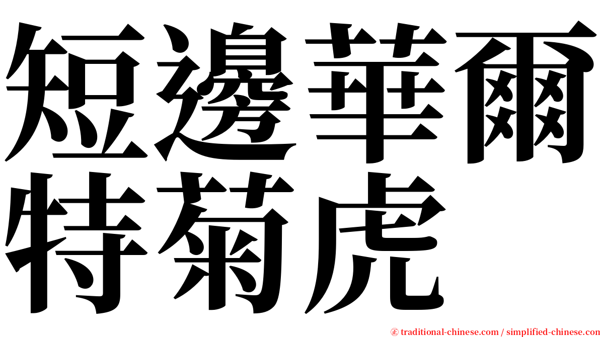 短邊華爾特菊虎 serif font