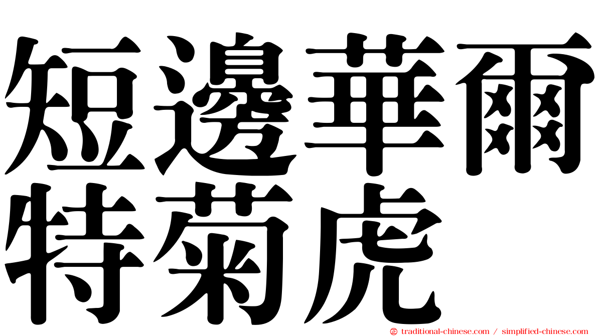短邊華爾特菊虎