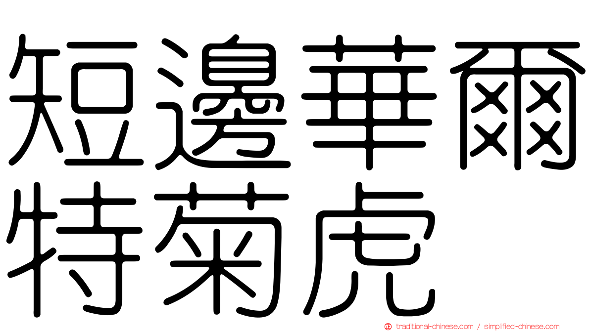 短邊華爾特菊虎
