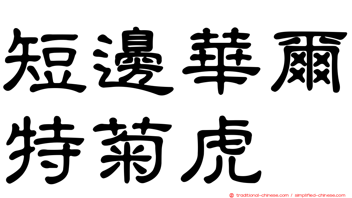 短邊華爾特菊虎