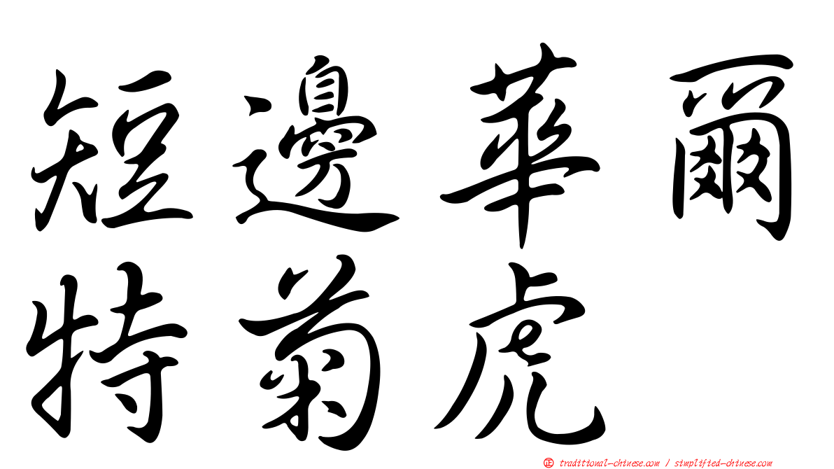 短邊華爾特菊虎
