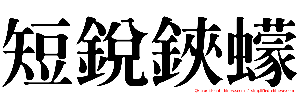 短銳鋏蠓
