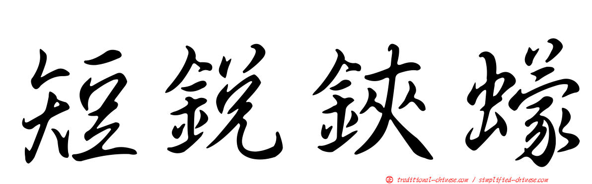 短銳鋏蠓
