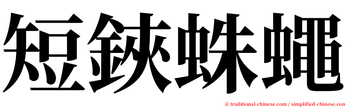 短鋏蛛蠅 serif font