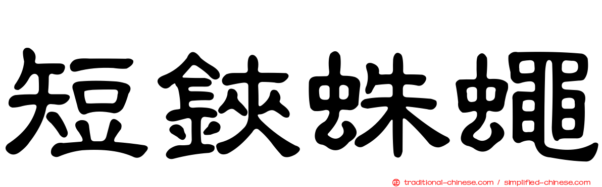 短鋏蛛蠅