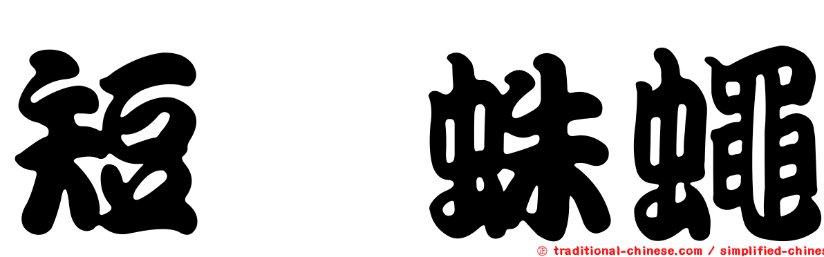 短鋏蛛蠅