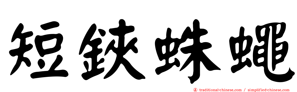 短鋏蛛蠅