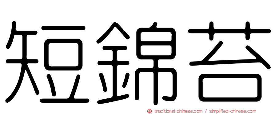短錦苔
